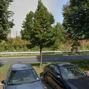 obrazek: avatar VOŠALÍK ANTONÍN-AUTODOPRAVA