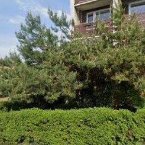 obrazek: avatar BÜRGEL JAN