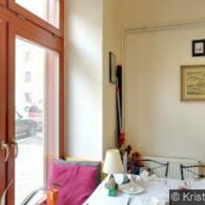 obrazek: avatar MS FOREST GROUP s.r.o.