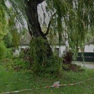 obrazek: avatar VAJSEJTL JIŘÍ-AUTOBUSOVÁ DOPRAVA