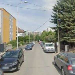 obrazek: avatar SCHÖNFELD OTO