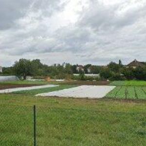 obrazek: avatar KRŠKA ZDENĚK