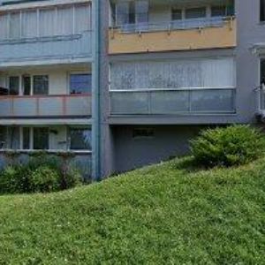 obrazek: avatar ŠPERL VÁCLAV