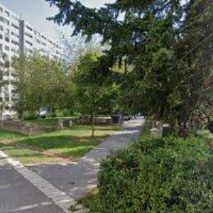 obrazek: avatar DEME PATRIK