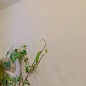 obrazek: avatar TROUSIL KAREL