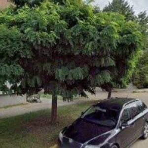 obrazek: avatar PIXO CZECH, s.r.o.