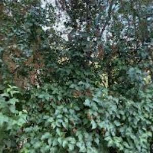 obrazek: avatar QRSTAV PRAHA s.r.o.