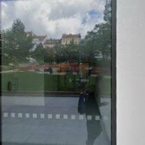 obrazek: avatar VEJDOVCOVÁ VĚRA-ASTOR