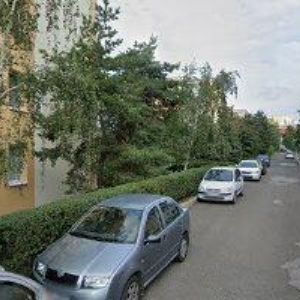 obrazek: avatar ALTMANN JIŘÍ