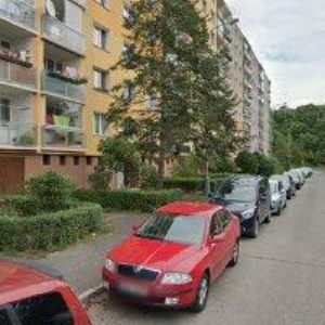 obrazek: avatar KRÁL ROMAN