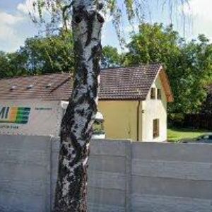 obrazek: avatar STAPO PRAHA, a.s.