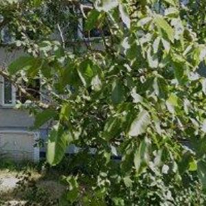 obrazek: avatar SLUKA PETR