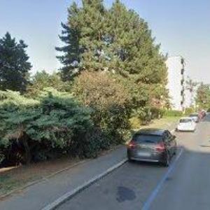 obrazek: avatar LABER