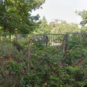 obrazek: avatar ETC CONSULTING PRAGUE s.r.o.