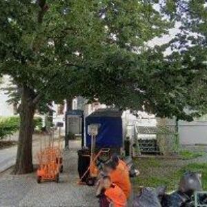 obrazek: avatar ENVIPON