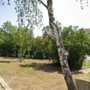 obrazek: avatar LCA STUDIO