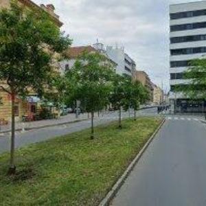 obrazek: avatar STORA ENSO PRAHA, s.r.o.