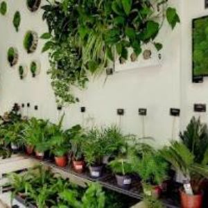 obrazek: avatar GIFTISIMO s.r.o.