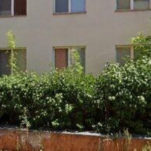 obrazek: avatar BFK spol. s r.o.