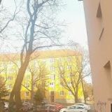 ŘIČAŘ DANIEL Ing.