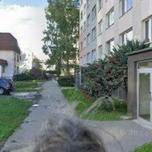 obrazek: avatar URBANOVÁ MILUŠE Ing.