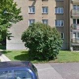 VODIČKA LUDĚK doc. Ing. CSc.