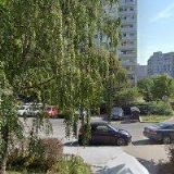 STRAUS JIŘÍ prof. PhDr.