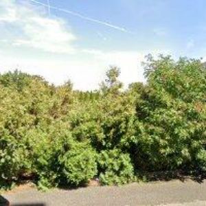 obrazek: avatar THE PROPERTY ADVISORY GROUP, s.r.o.