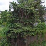 AK-KAŠPÁREK ZBYNĚK JUDr., LL.M.