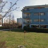 ADVOKÁTNÍ KANCELÁŘ ZVÁRA