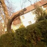 AK-BERANOVÁ ZDEŇKA JUDr.