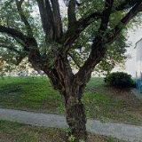 AK-ZLESÁK TOMÁŠ Mgr.