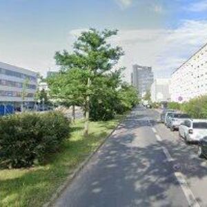 obrazek: avatar AK-KRTIČKA IVO JUDr.