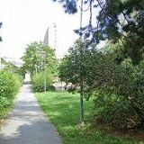 AK-PANTOFLÍČKOVÁ DANIELA