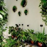 AK-PETŘÍK MARTIN Mgr.