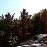 AK-ČIČKO RICHARD JUDr.