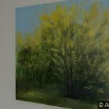 BALCAR, POLANSKÝ & SPOL.