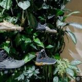 ACHOUR & PARTNERS ADVOKÁTNÍ KANCELÁŘ s.r.o.