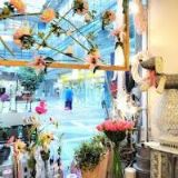 AK-COUFALOVÁ PETRA Mgr.