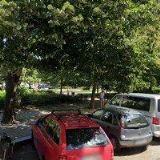 AK-KROUSKÝ JAN JUDr.