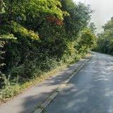 AK-SPĚVÁK MICHAL Mgr.