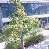 AK-BURZANOVSKÝ PETR Mgr.