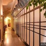 AK-KOSOVÁ MICHALA JUDr.