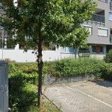 AK-HANKOVÁ LENKA Mgr.