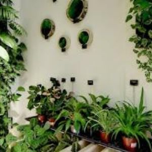 obrazek: avatar AK-BENEŠOVÁ JANA JUDr.