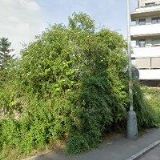 AK-DUFFKOVÁ KATEŘINA Mgr.