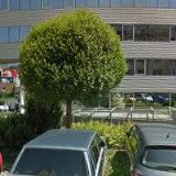 FG FINANCIAL GROUP, a.s.