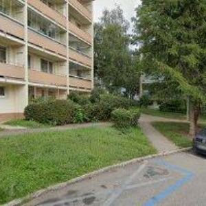 obrazek: avatar REINTHALER ROBERT