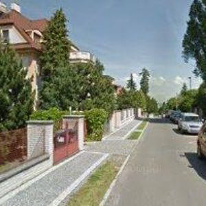 obrazek: avatar ROYAL MAGNUM, a.s.