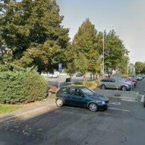 obrazek: avatar SALÁKOVÁ JITKA